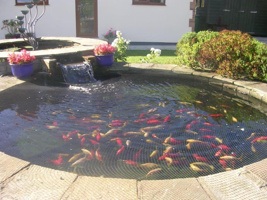 Coastal Garden Lodge Preesall エクステリア 写真